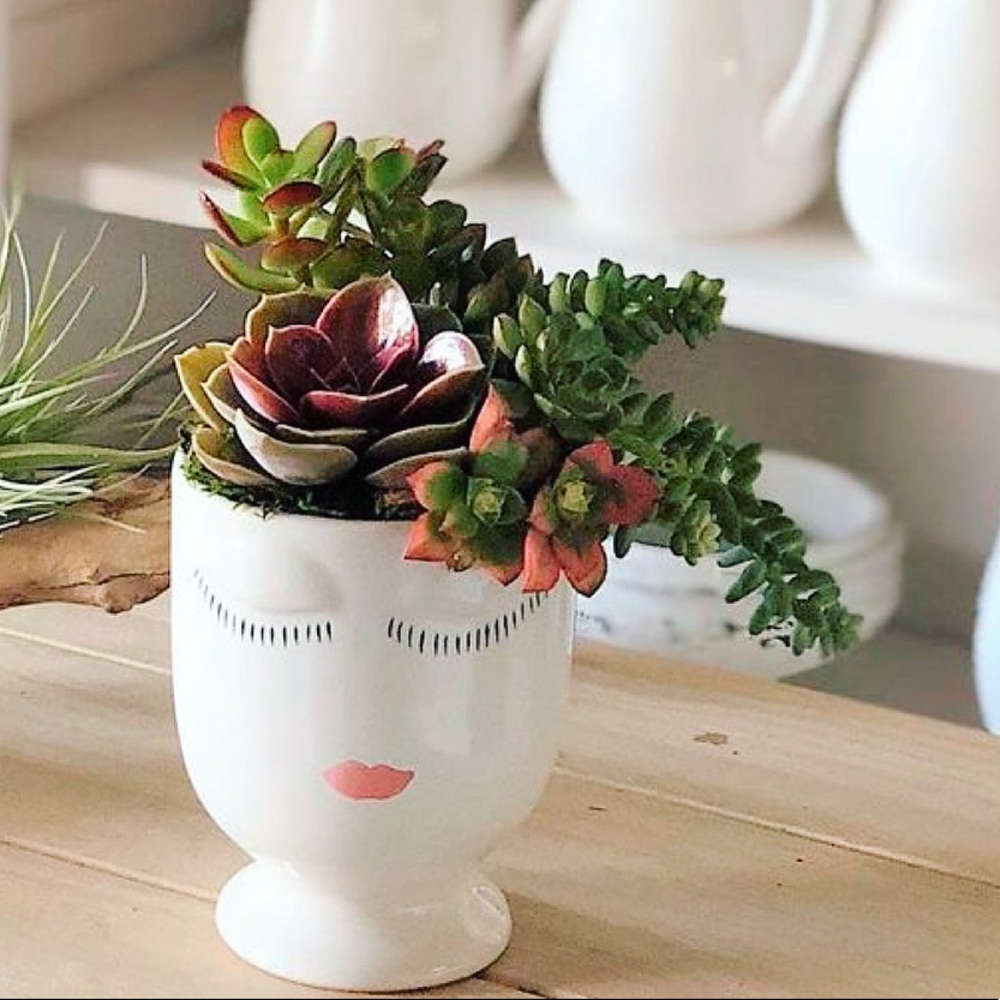 X S O L D X  Ceramic Pot White Medium